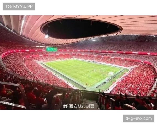 新星闪耀国际赛场，青春力量点燃足球未来